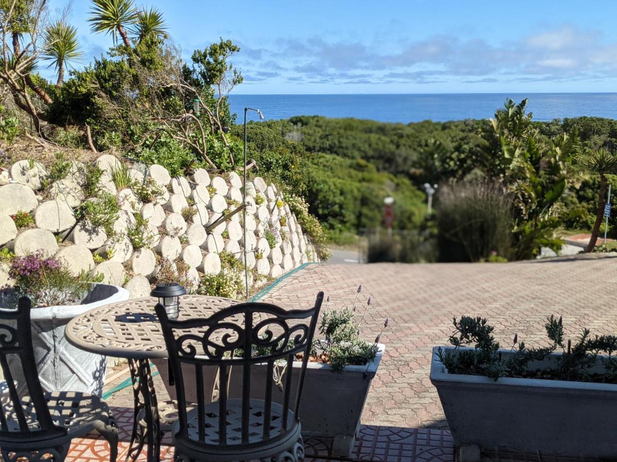 Villa Cape Garden Route وايلدرنيس المظهر الخارجي الصورة