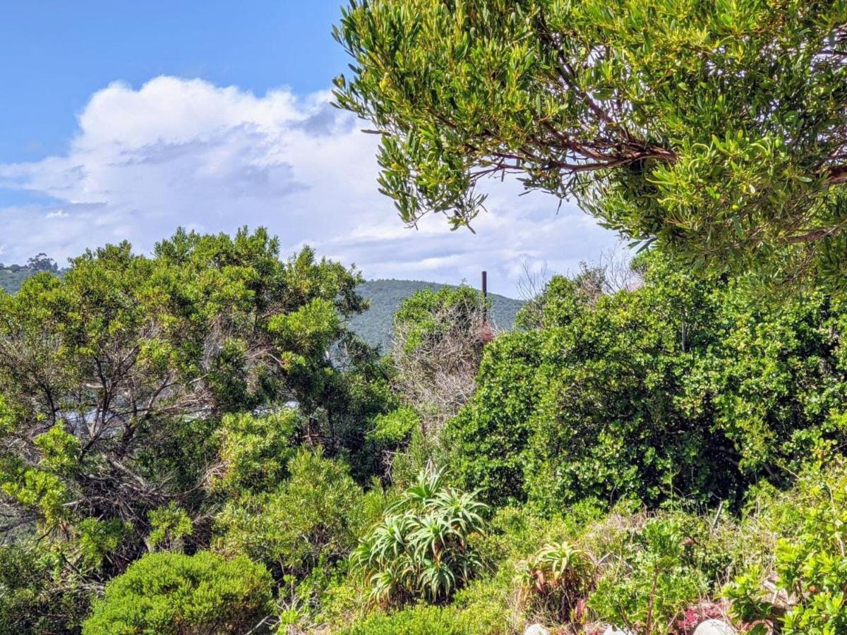Villa Cape Garden Route وايلدرنيس المظهر الخارجي الصورة